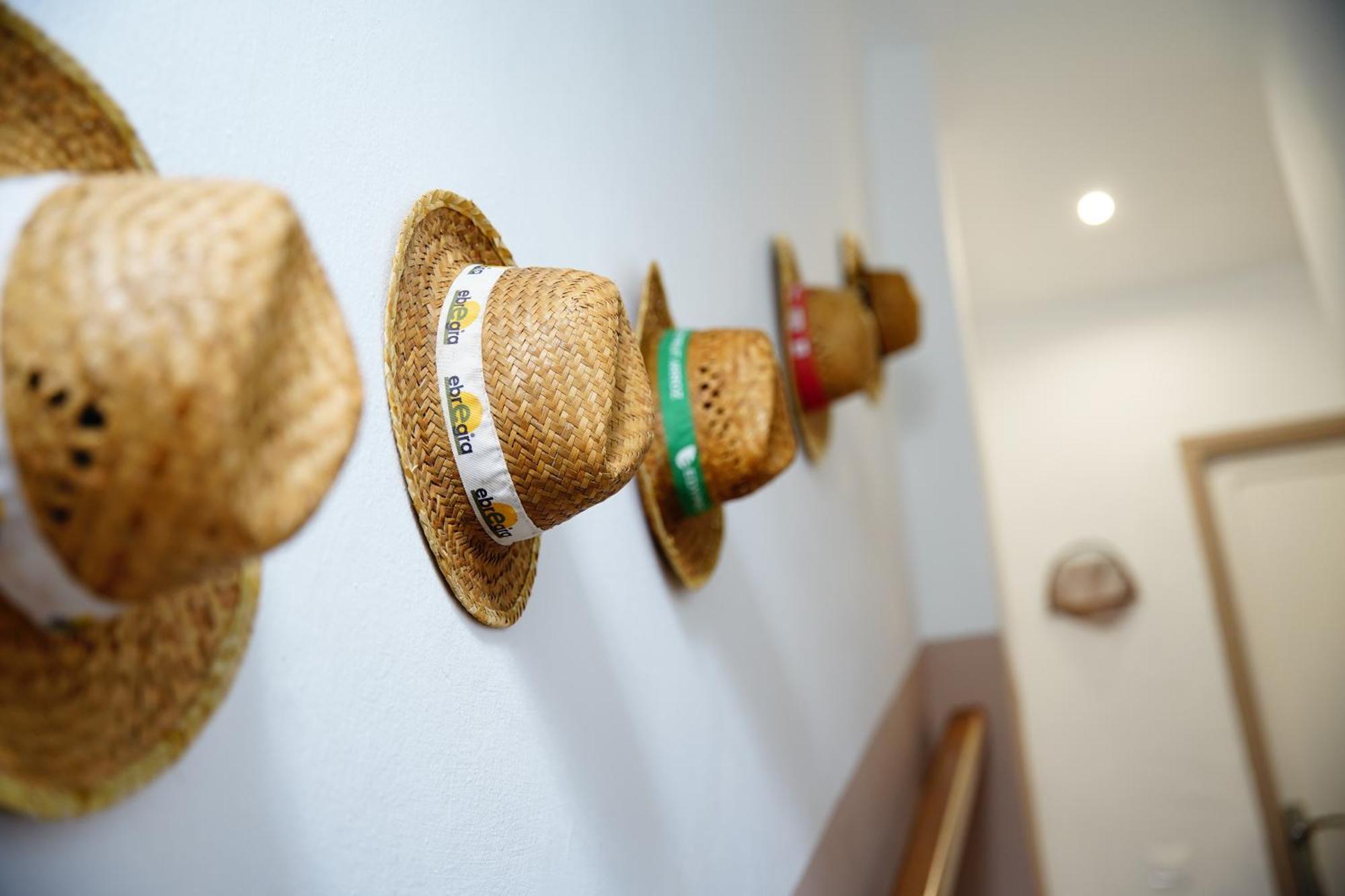Casa Pastoret Deltebre Ngoại thất bức ảnh